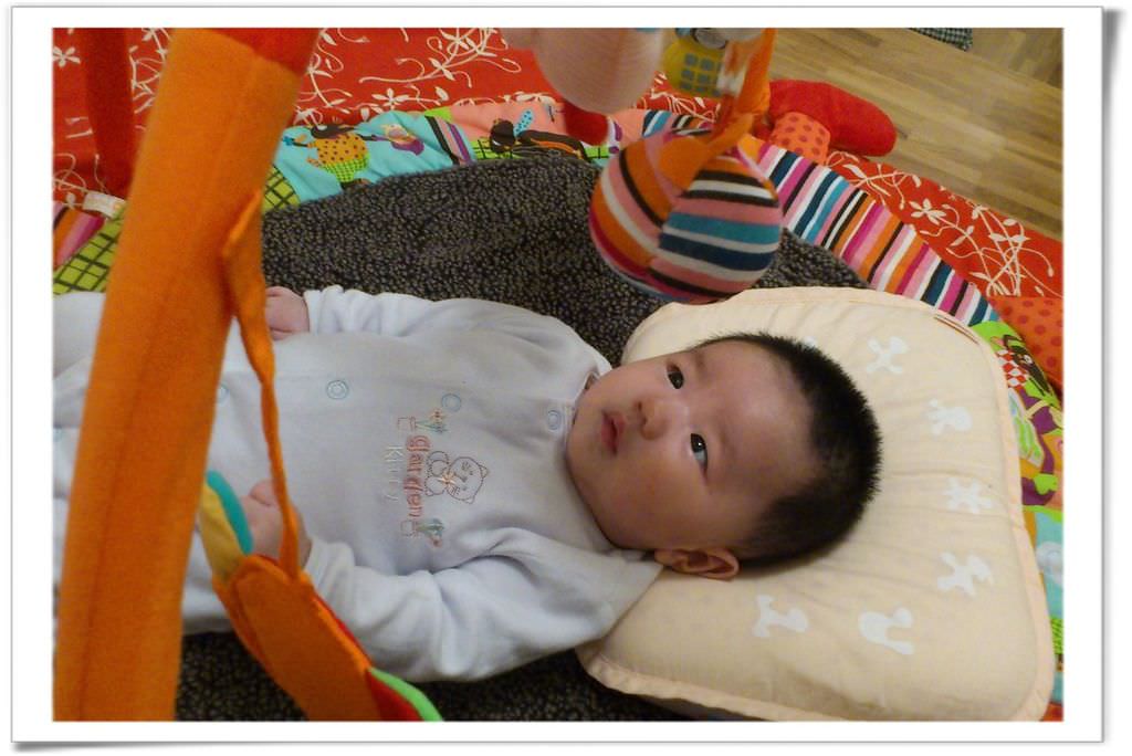 大野狼-22.jpg