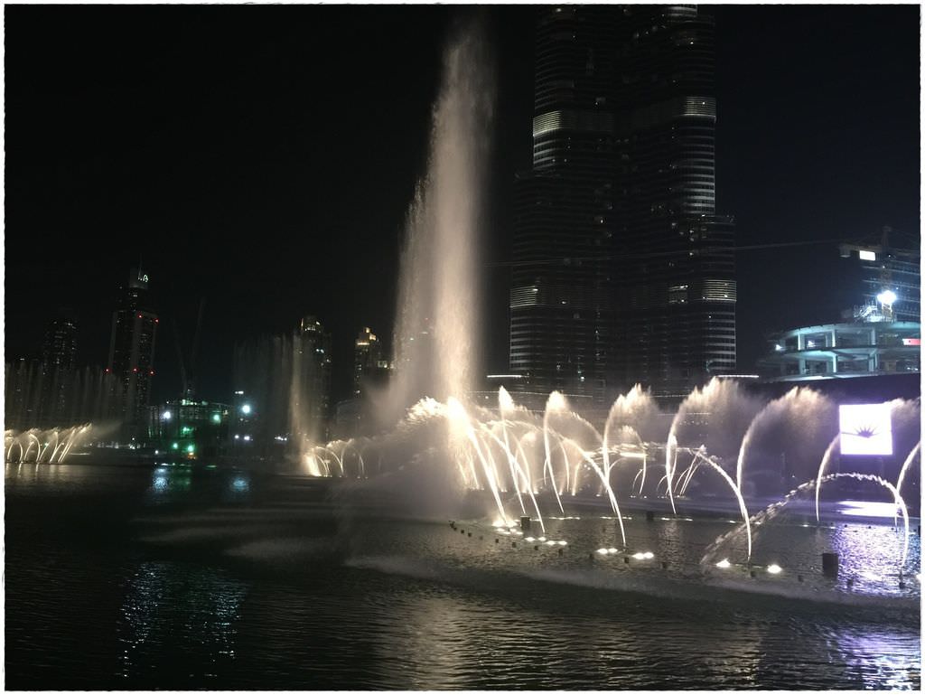 水族-68.JPG