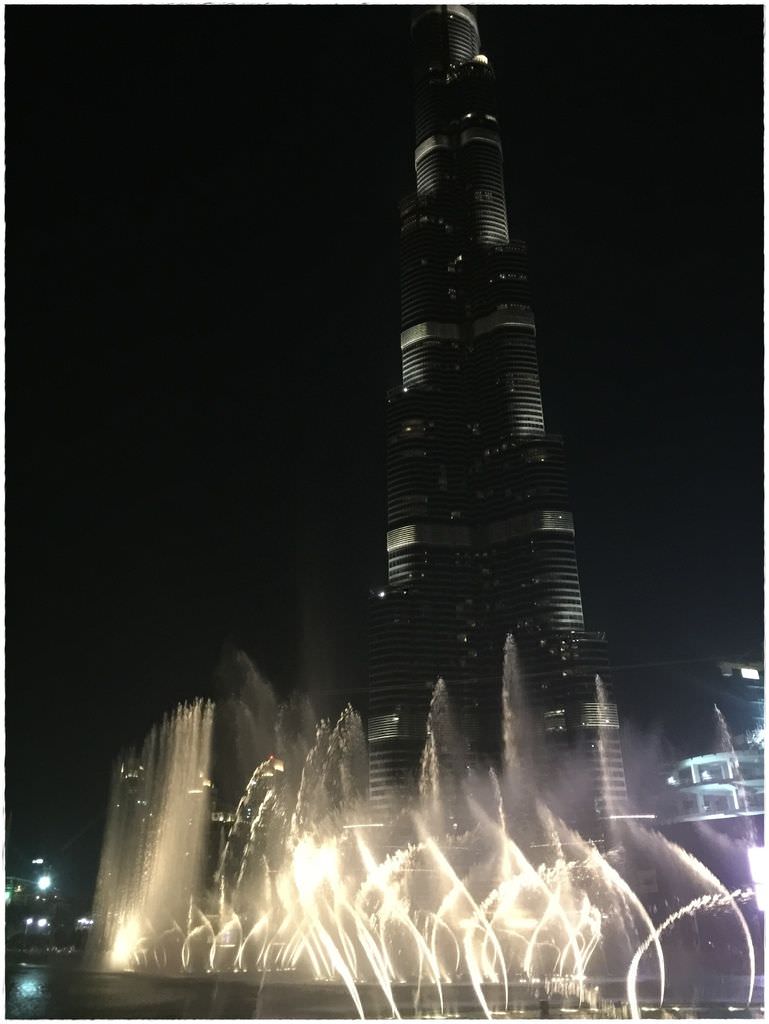 水族-69.JPG