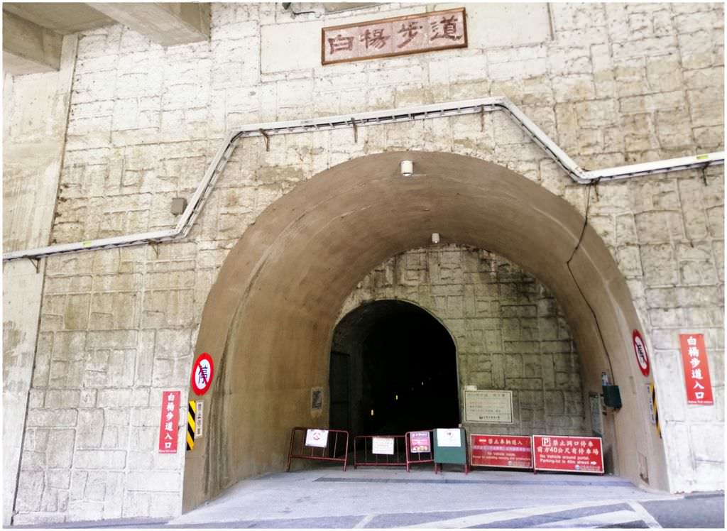 白洋-4.jpg