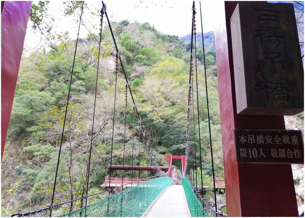 白洋-35.jpg