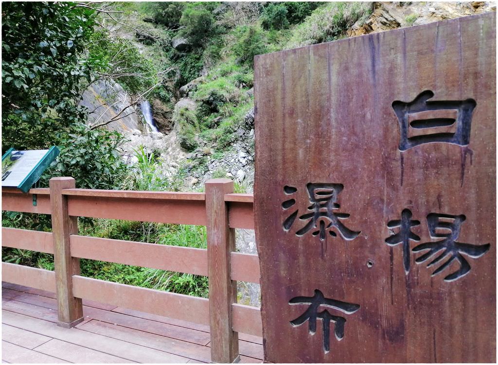 白洋-43.jpg