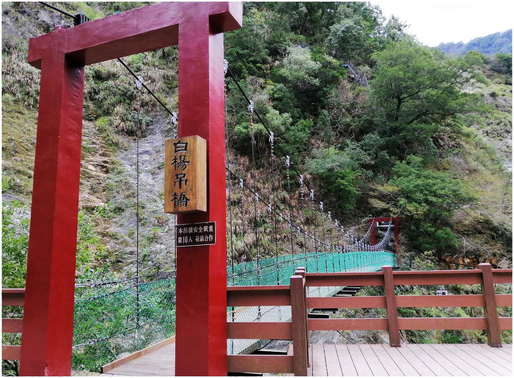 白洋-42.jpg