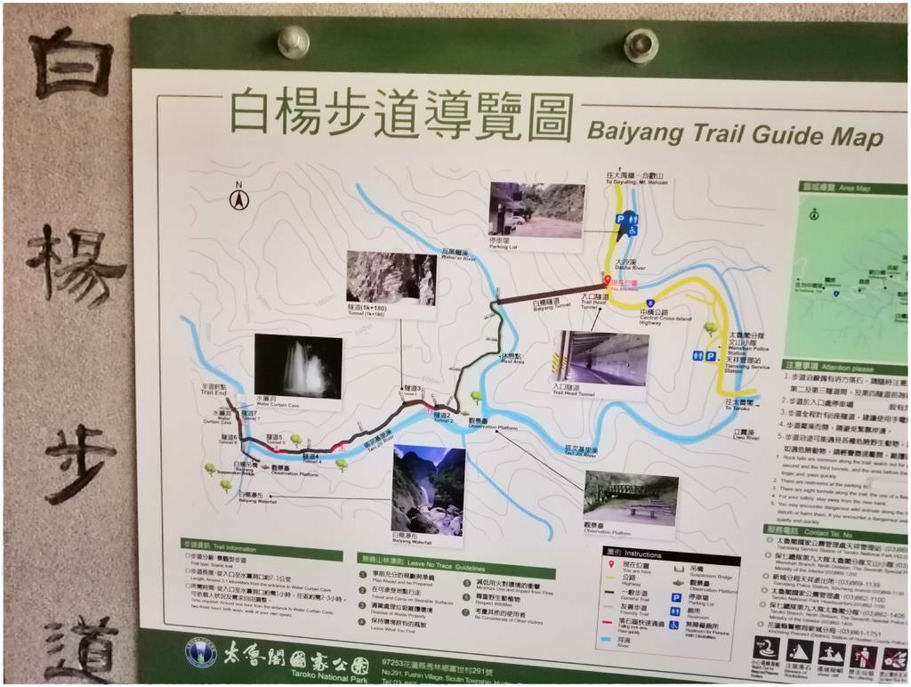 白洋-52.jpg