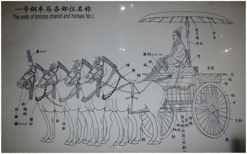 兵馬-54.JPG