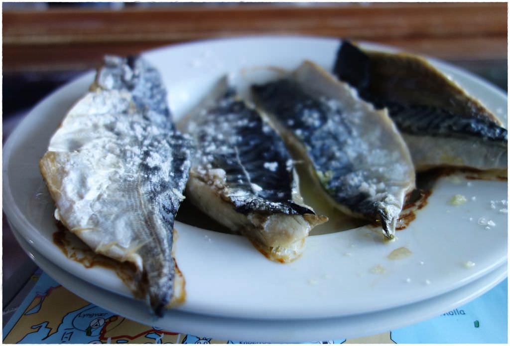 釣魚-4.JPG