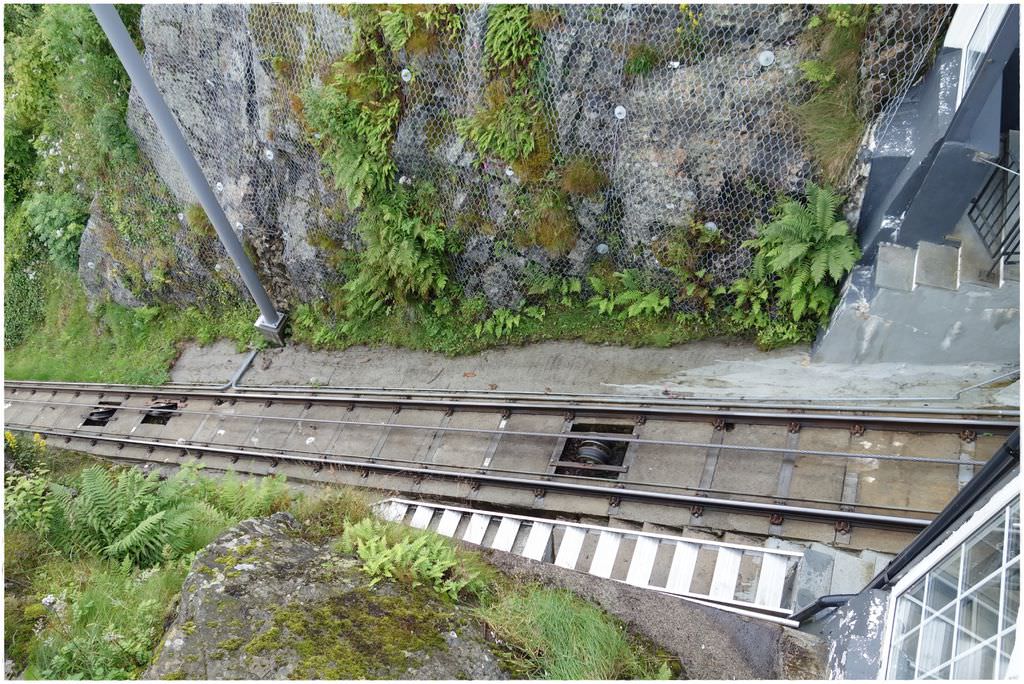 bergen top-20.JPG