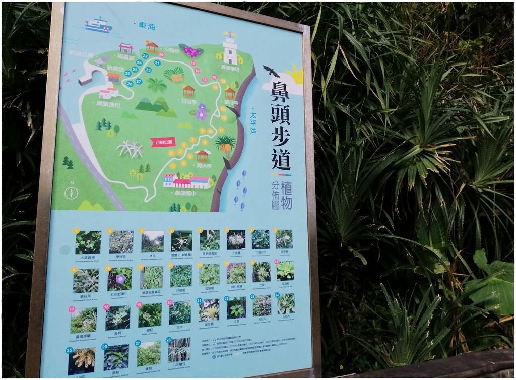 鼻頭角-47.jpg