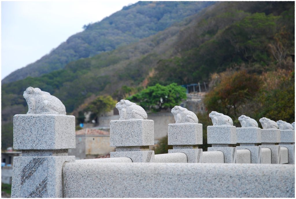 新增-15.JPG