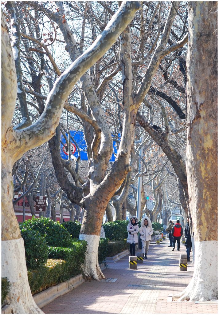 漁山路-1.JPG