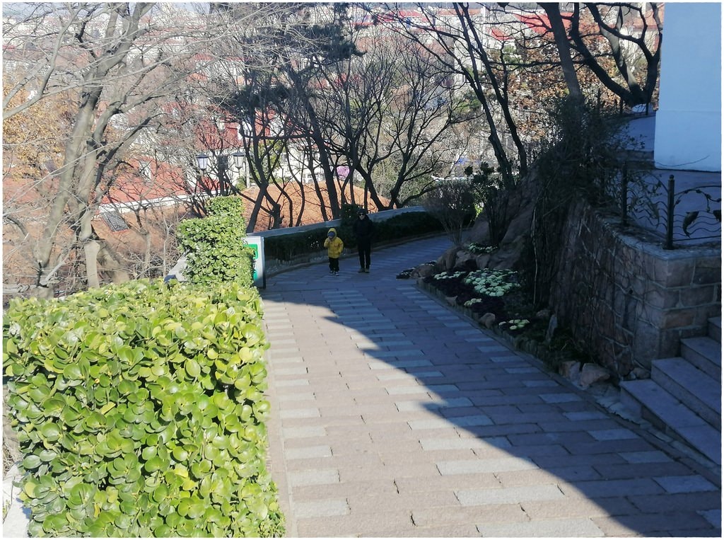 新增-11.jpg