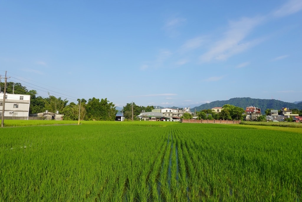 美食-7.JPG