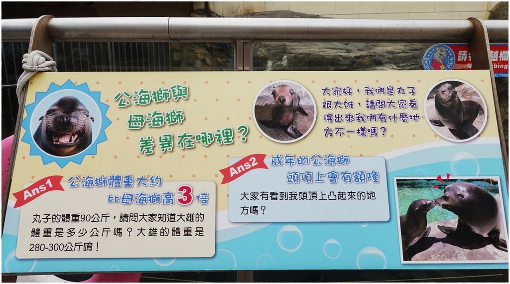 海洋公園-61.JPG