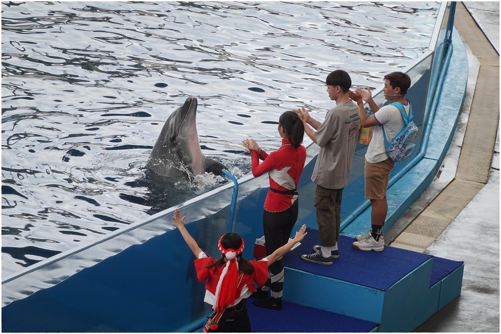 海洋公園-34.JPG