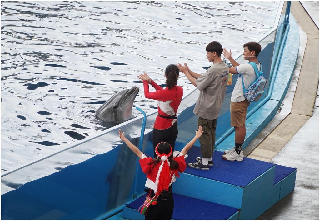 海洋公園-33.JPG