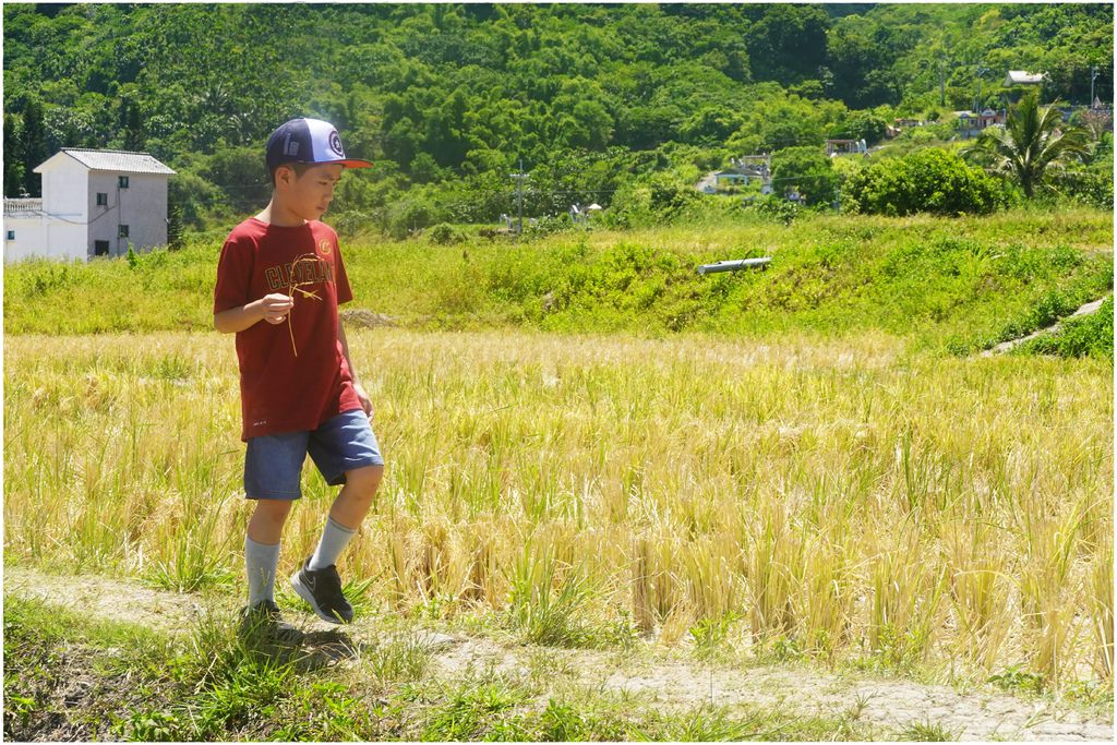 新社-23.JPG