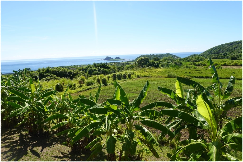 三野-25.JPG