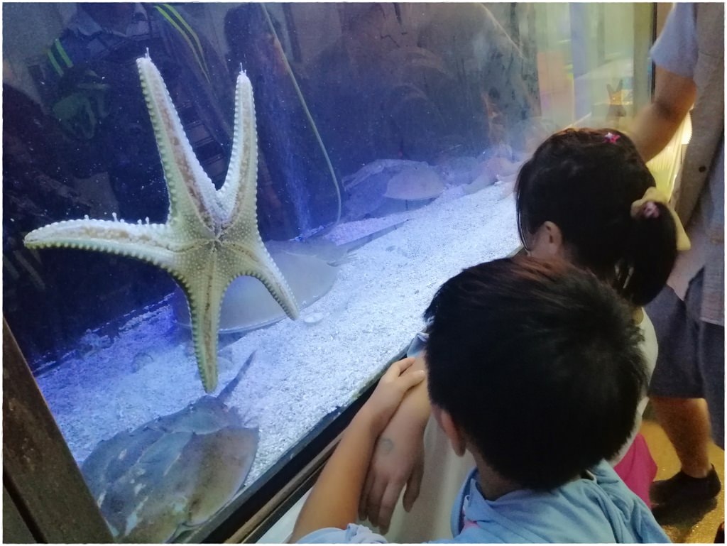 潮-39.jpg