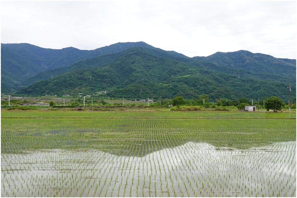 富里農會-5.JPG