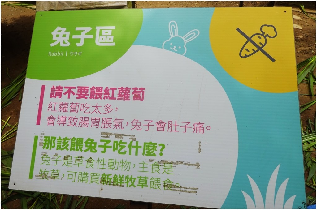 牧場-8.JPG