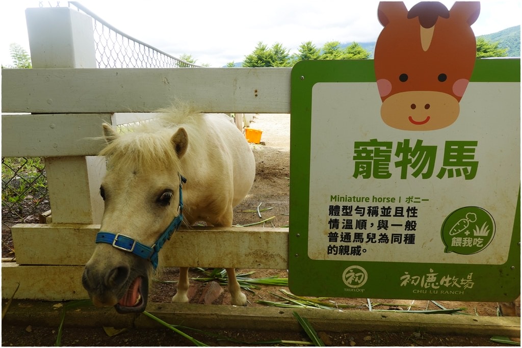 牧場-15.JPG