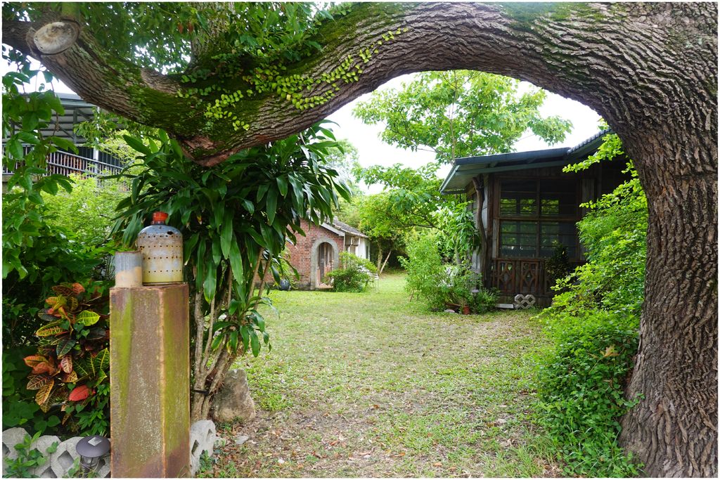 鹿野-14.JPG