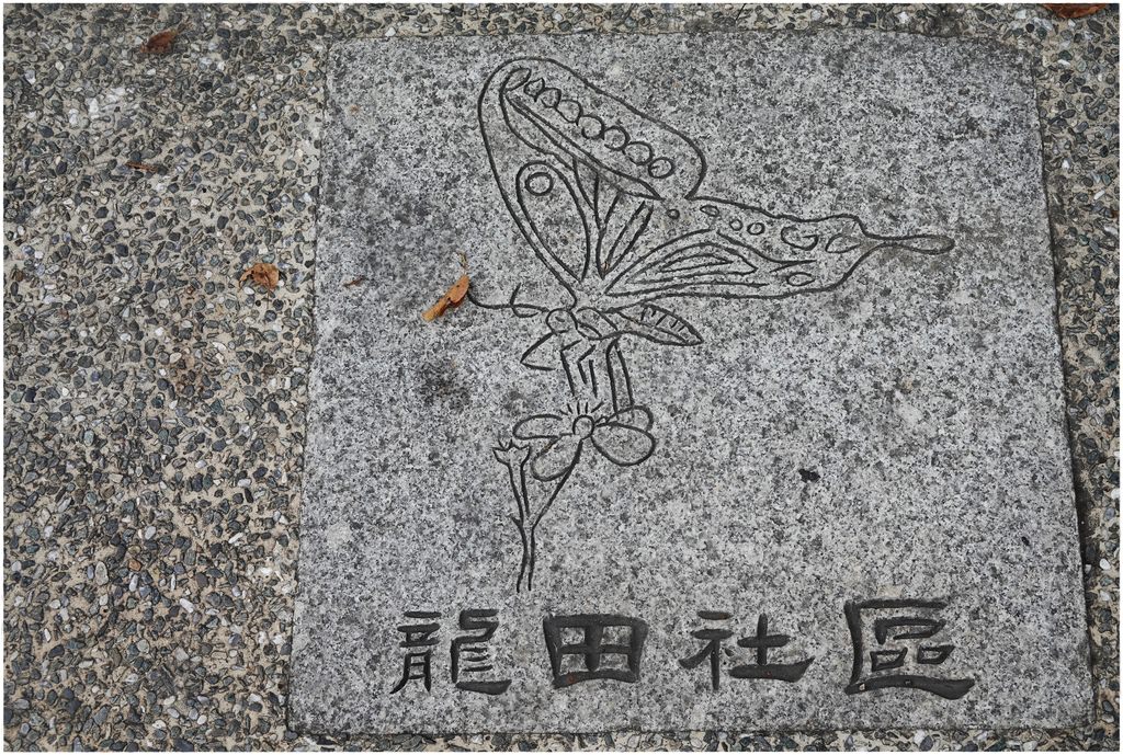 鹿野-18.JPG