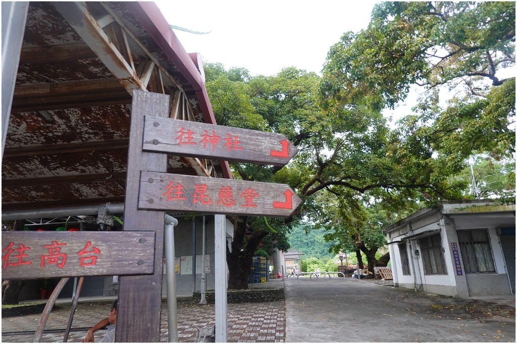 鹿野-114.JPG
