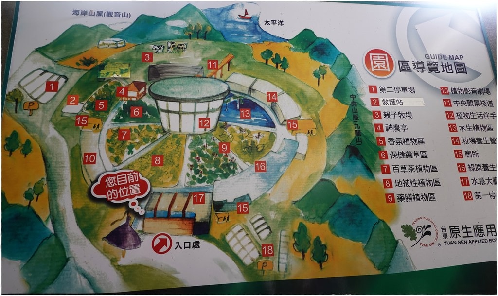 原生植物-3.JPG