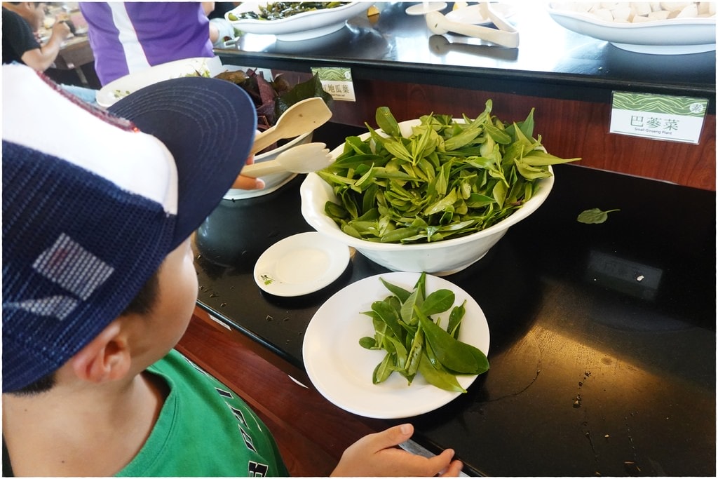 原生植物-22.JPG