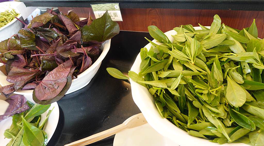 原生植物-23.JPG