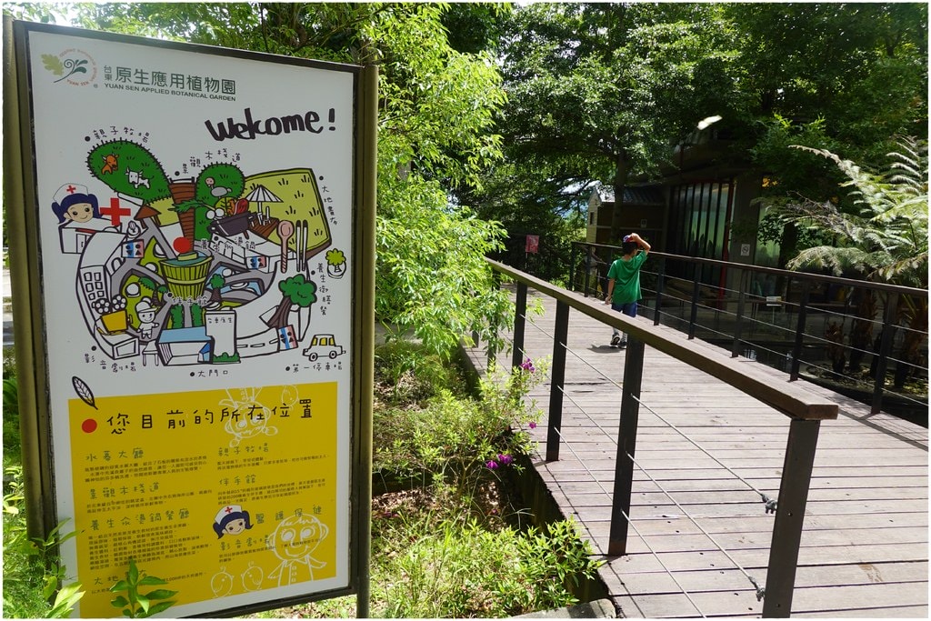原生植物-13.JPG