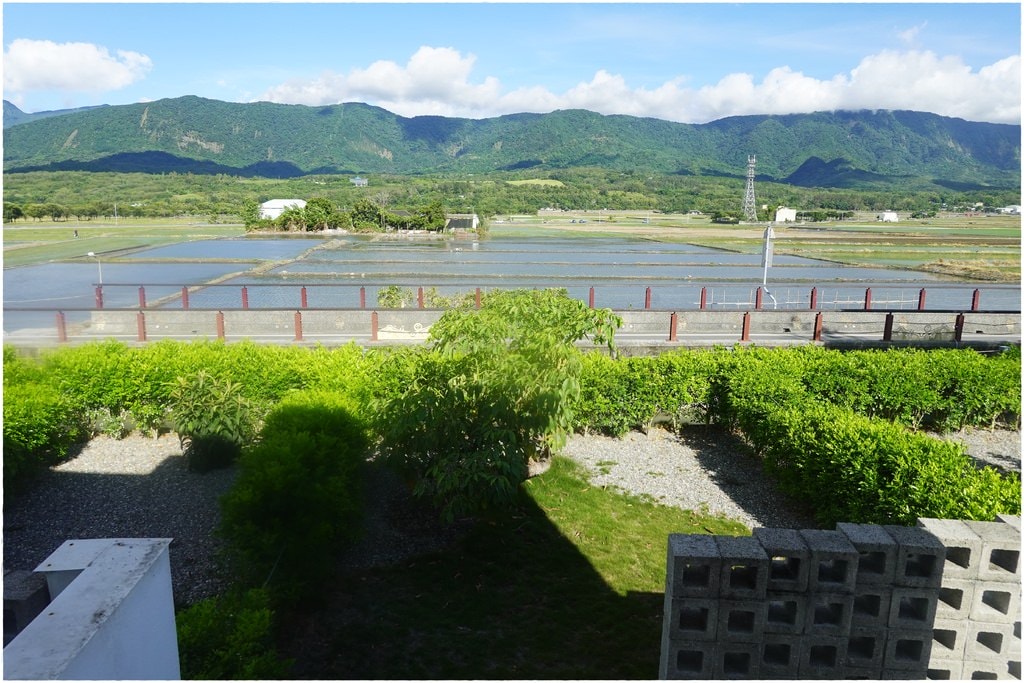 池上-1200.JPG