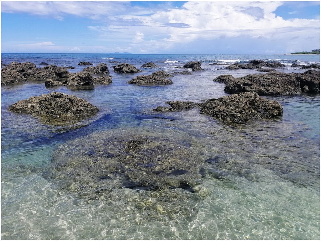 護魚-10000000000.jpg