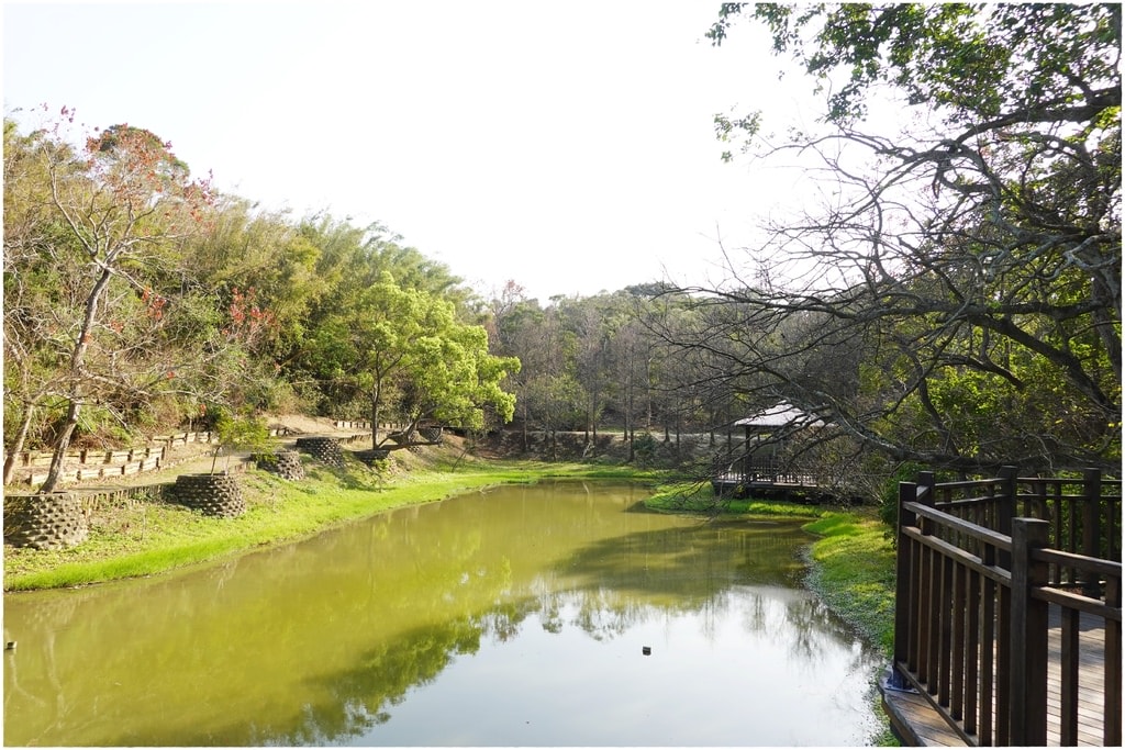 青青草原-36.JPG