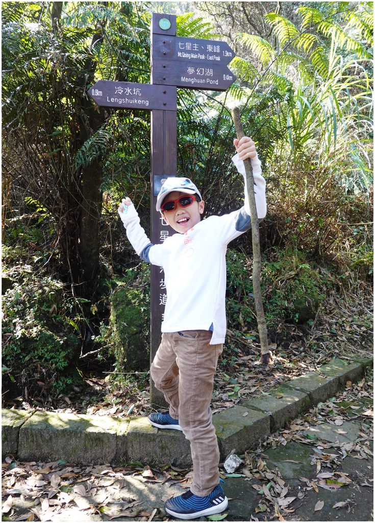 七星山步道-5.JPG