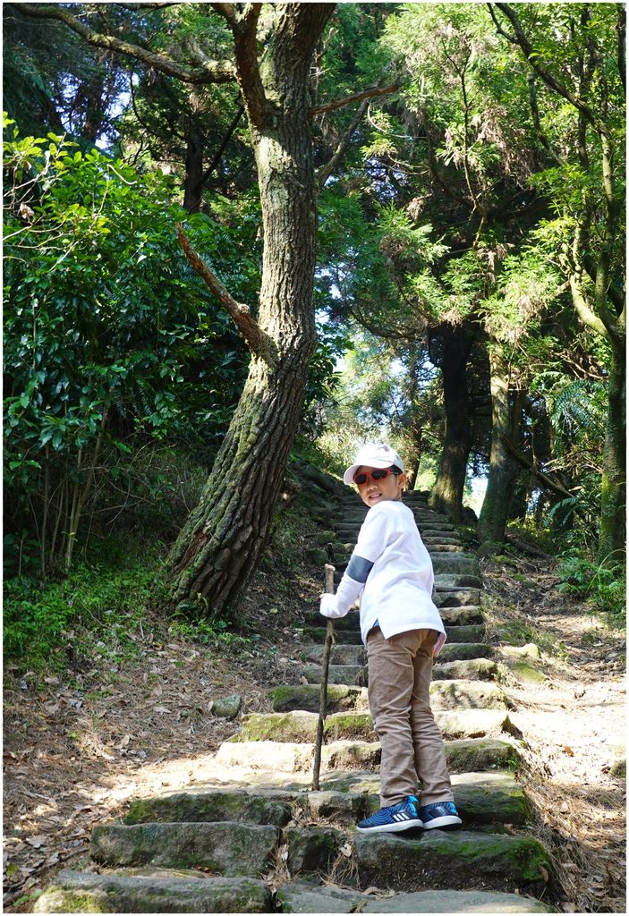 七星山步道-6.JPG