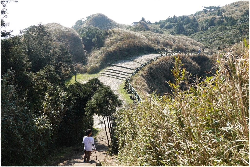 七星山步道-26.JPG