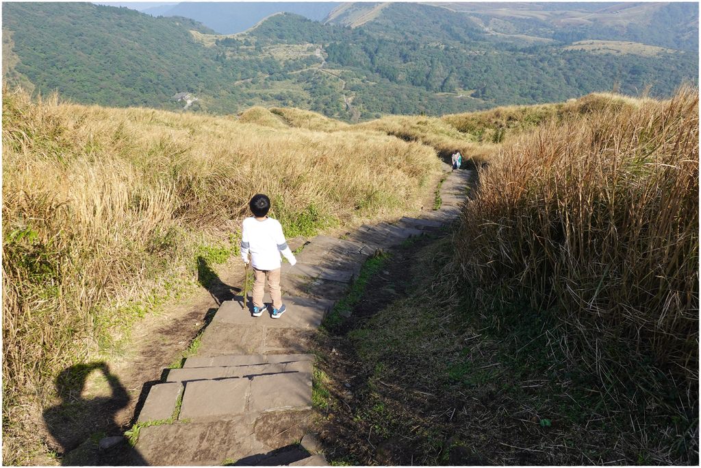 七星山步道-31.JPG