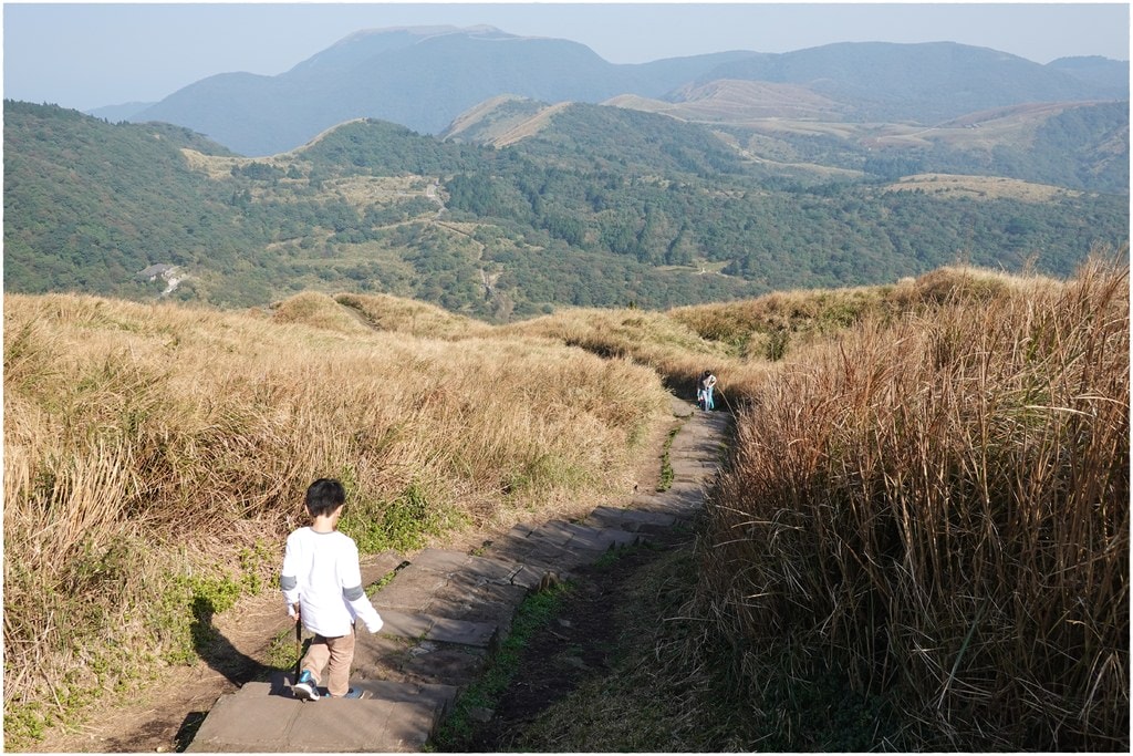 七星山步道-32.JPG