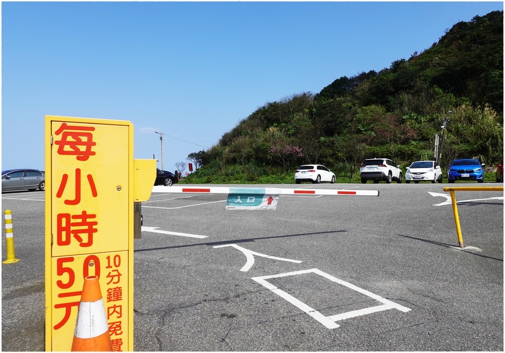 茶-10.JPG