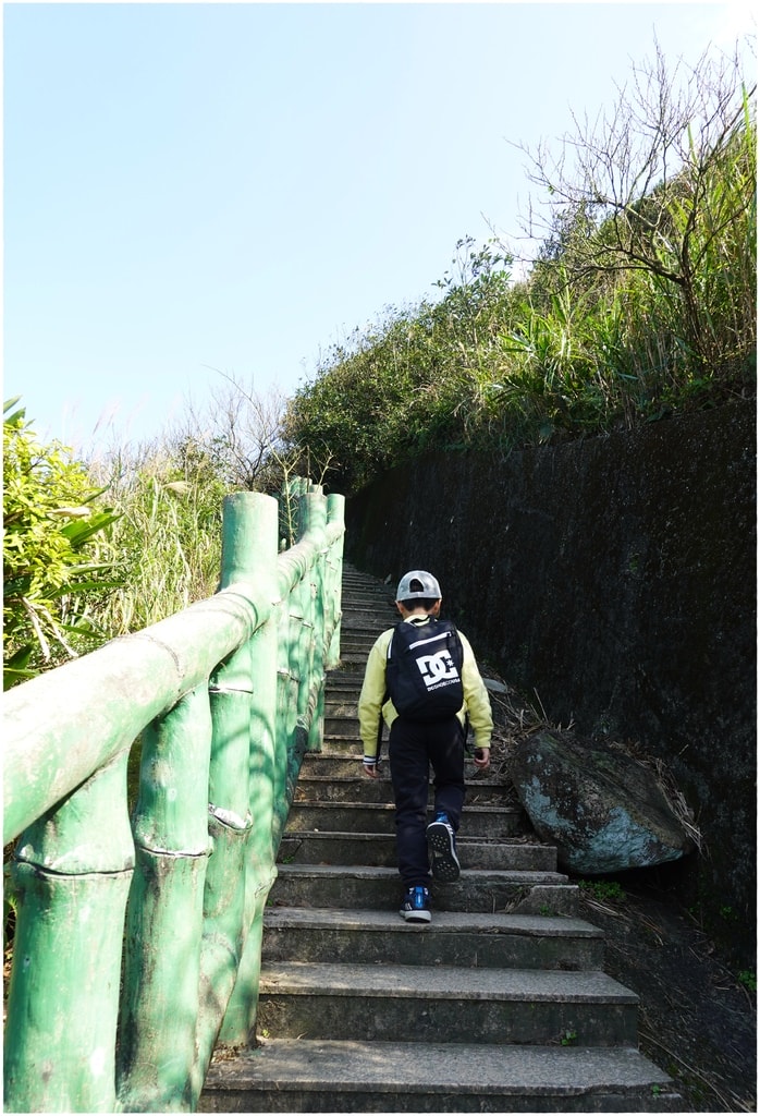 茶-18.JPG