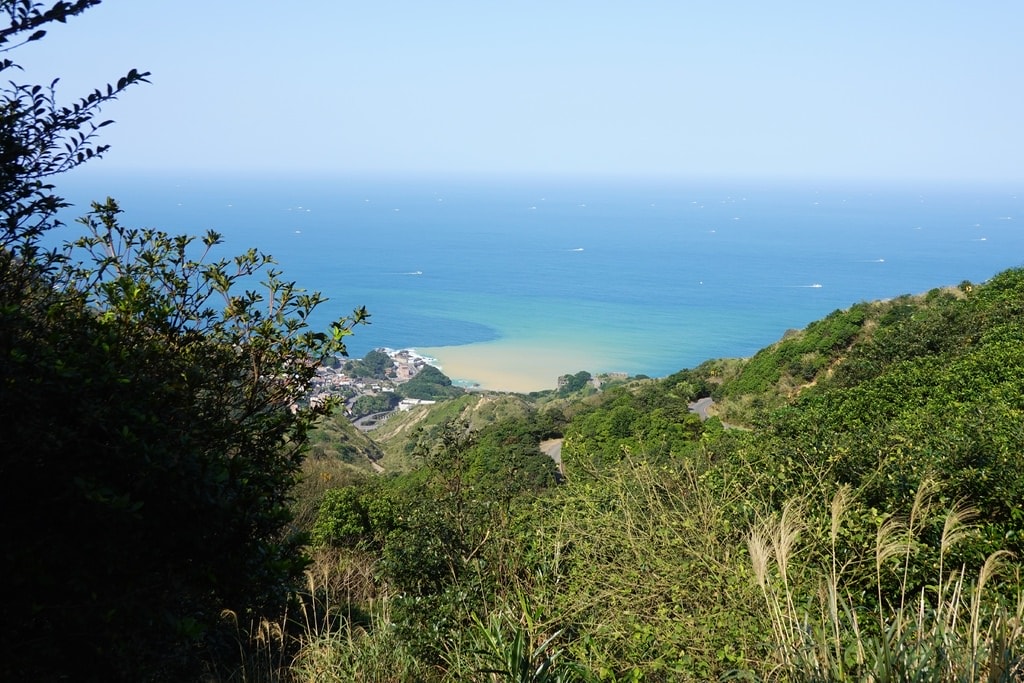 茶-19.JPG