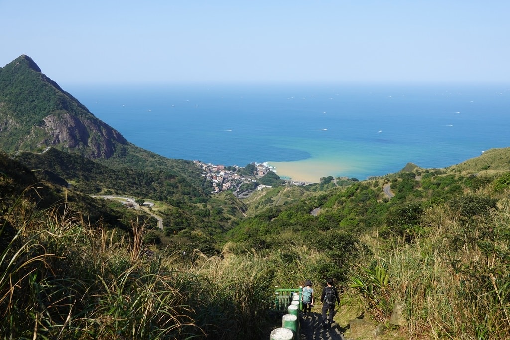 茶-22.JPG