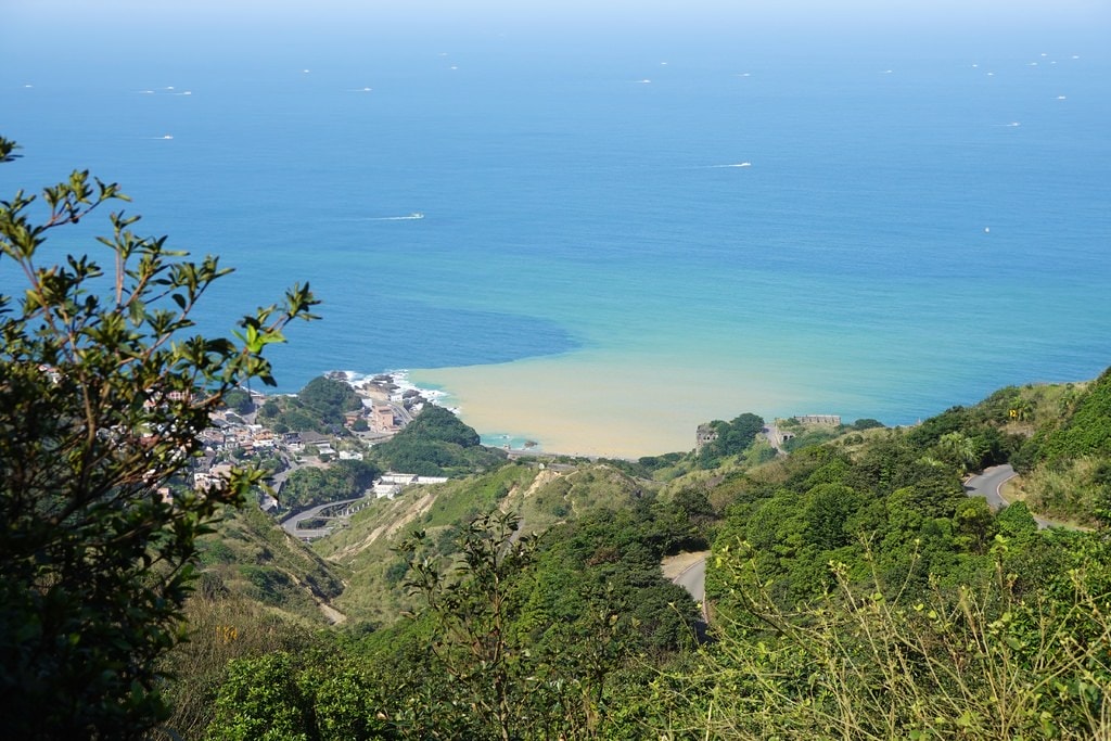 茶-20.JPG