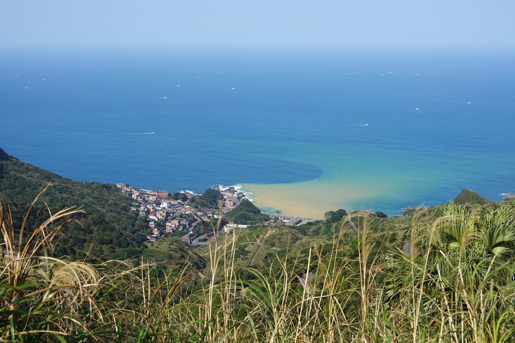 茶-24.JPG