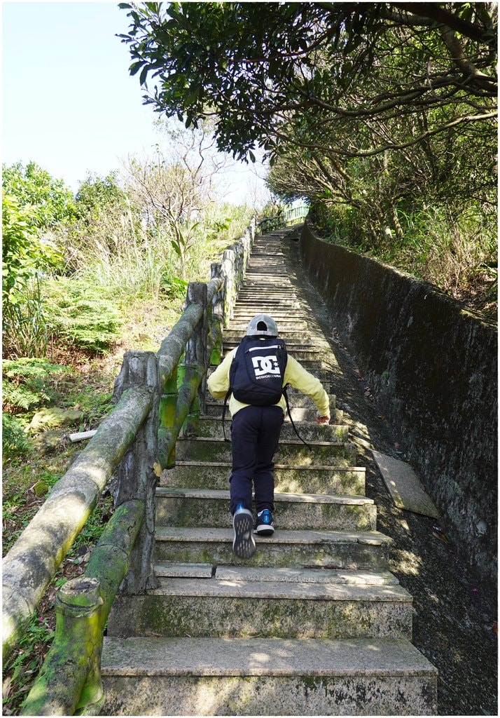 茶-16.JPG