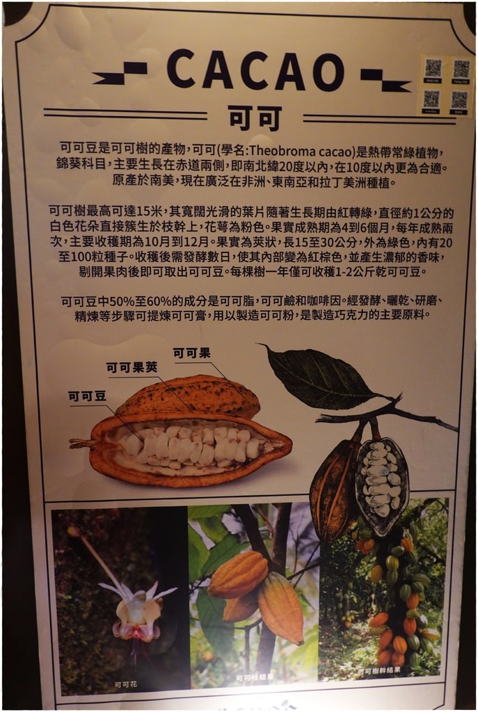 巧克力-21.JPG