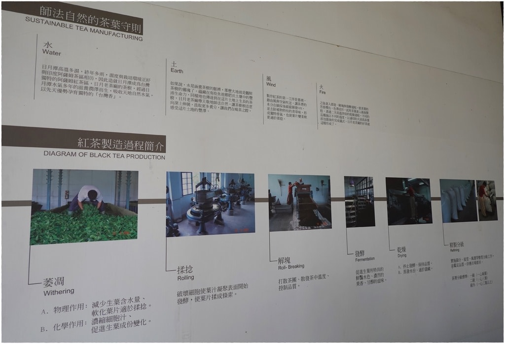 老茶廠-10.JPG
