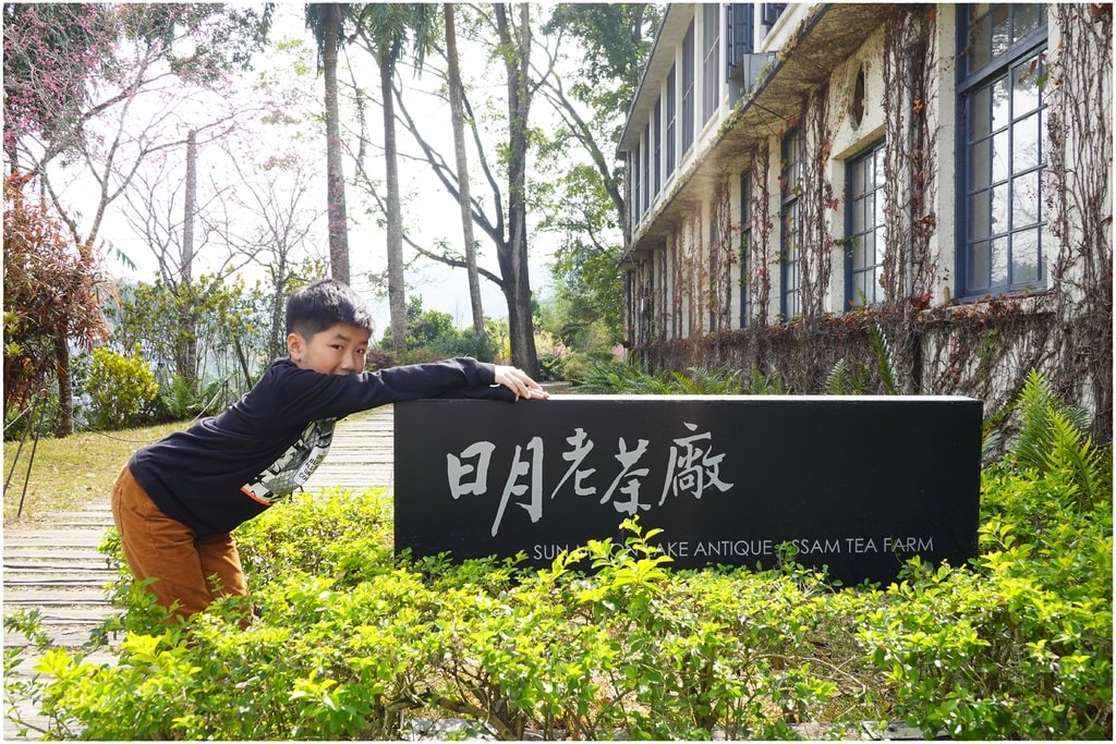 老茶廠-2.JPG